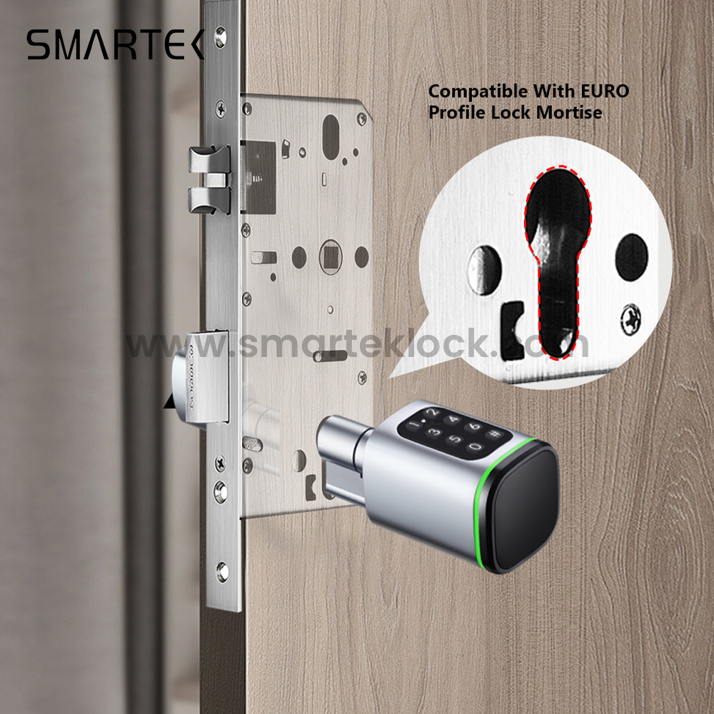 SMARTEK S1K Senha RFID Cart&atilde;o IC CHAVE TTLOCK APP BLE Fechadura de cilindro inteligente para substitui&ccedil;&atilde;o de cilindro mec&acirc;nico antigo