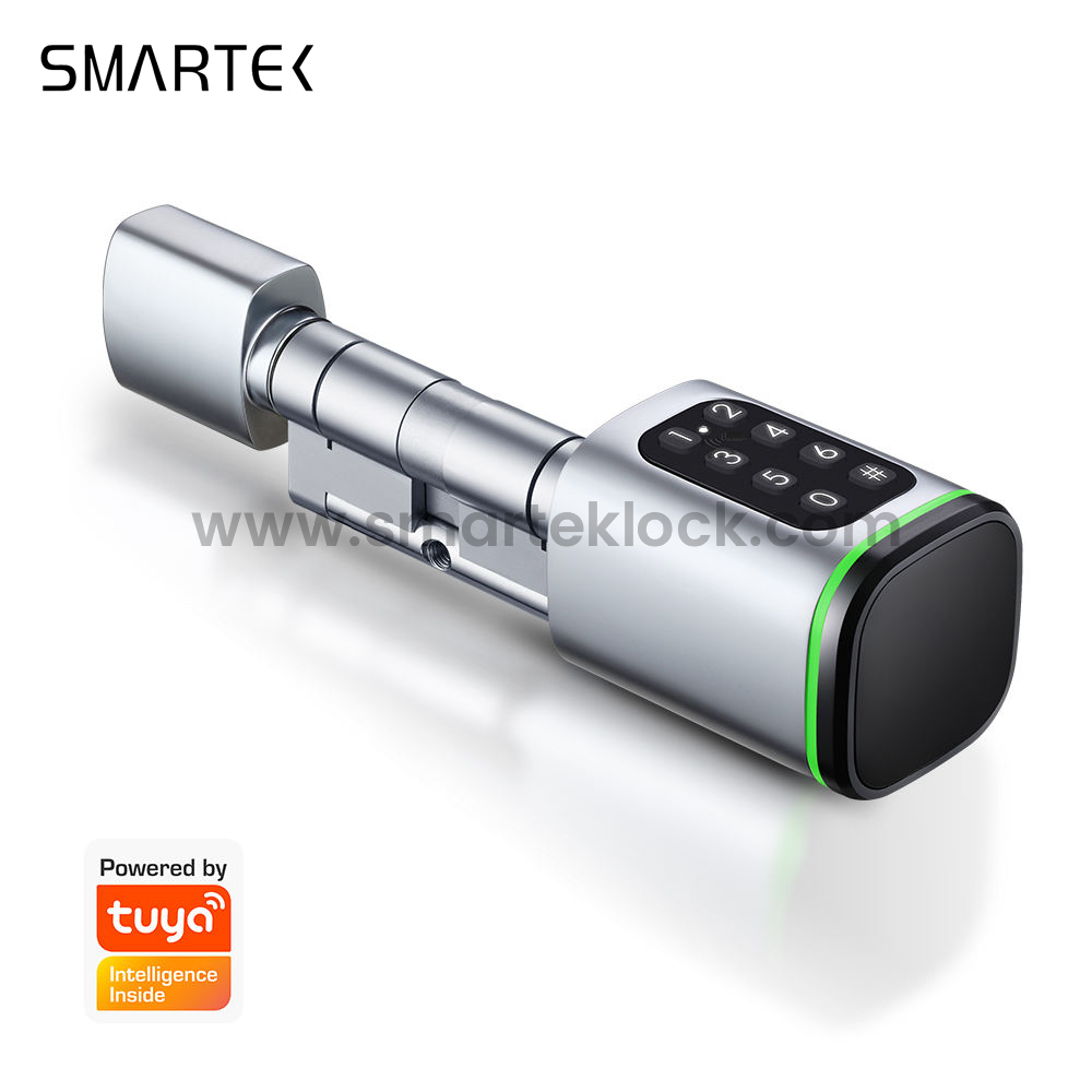 SMARTEK S1K Senha RFID Cart&atilde;o IC CHAVE TTLOCK APP BLE Fechadura de cilindro inteligente para substitui&ccedil;&atilde;o de cilindro mec&acirc;nico antigo