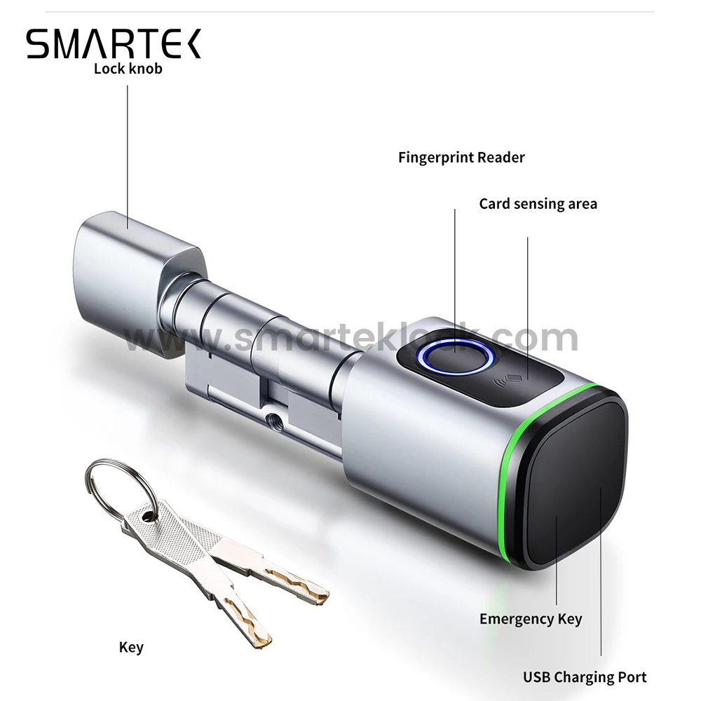 Serrure biom&eacute;trique intelligente portative de cylindre d'empreinte digitale de serrure intelligente de Tuya pour le verre d'alliage d'aluminium d'acier/laiton/verre de nuage