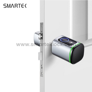 Serratura a cilindro biometrica intelligente portatile per impronte digitali Tuya Smart Lock per vetro in lega di alluminio in acciaio/ottone/vetro